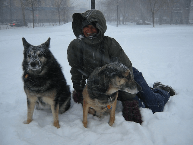 Dogs and wife in snow storm